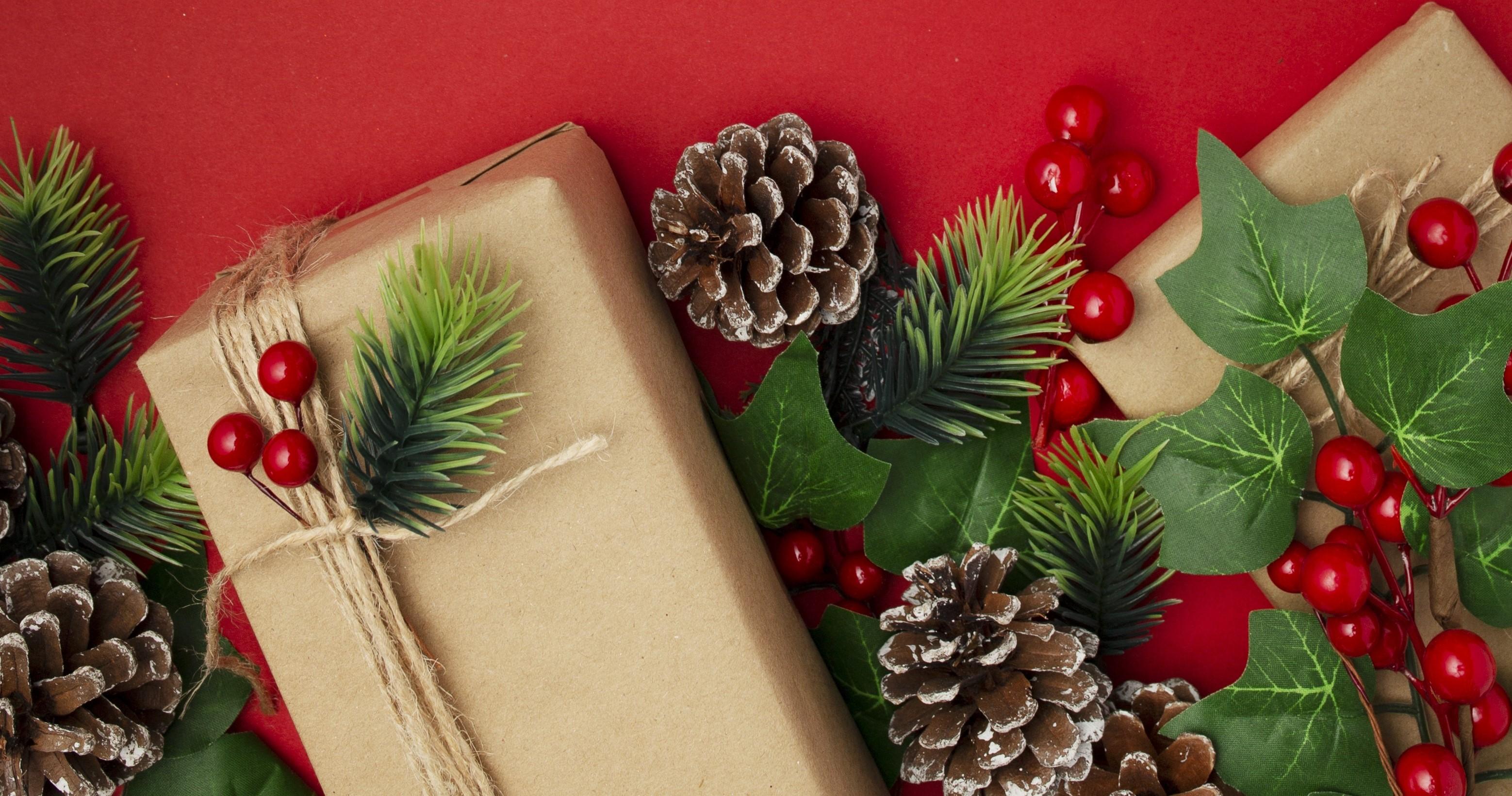 Newsletter december 2025